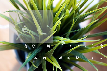 身份證消費(fèi)逾期怎么辦？如何處理逾期問(wèn)題？